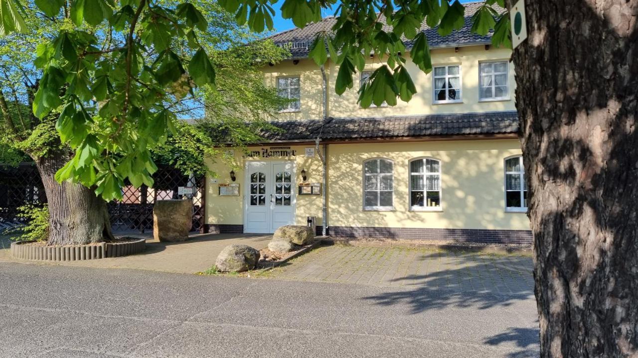 Wirtshaus & Pension "Zum Hammer" Neustadt  المظهر الخارجي الصورة
